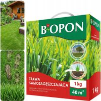 bopon - trawa samozagęszczająca 40 m² - 1 kg
