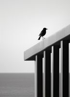 product-compare-59366585