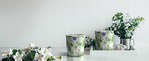 aura świeca zapachowa baśniowa kraina 22h sn72s-56 na Arena.pl