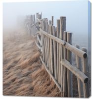 product-compare-59470449