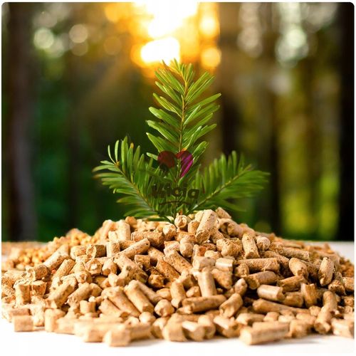 ŻWIREK DREWNIANY SOSNOWY DO KUWETA KLATKA DLA KOTA KRÓLIKA ŚWINKI MORSKIEJ na Arena.pl