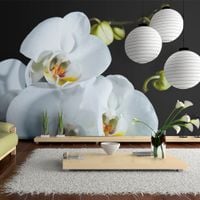 product-compare-63632560
