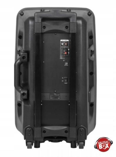 Głośnik Bluetooth 30cm USB Mikrofony Karaoke zdjęcie 12