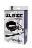 blaze collar and leash purple