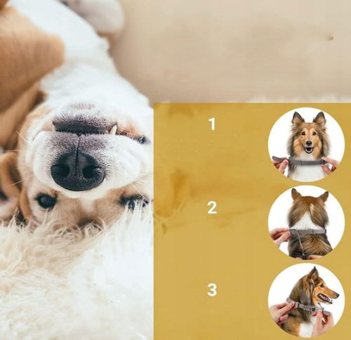 Obroża dla psa na kleszcze i pchły 63 cm – 8 miesięcy ochrony + GRATIS na Arena.pl