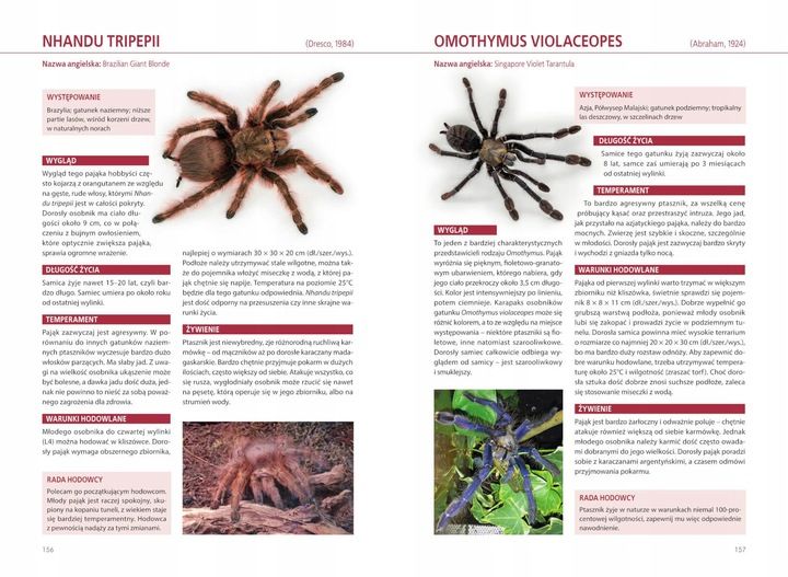 Atlas Pająków Książka O Pająkach Hodowlanych Encyklopiedia P. Malgrab SBM zdjęcie 5