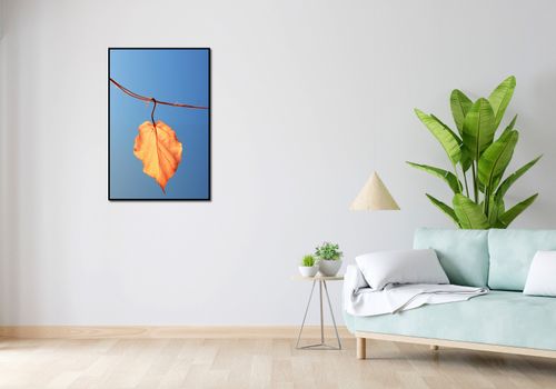 Plakat 61x91,5cm Ostatni Liść na Arena.pl