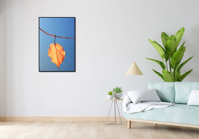 Plakat 61x91,5cm Ostatni Liść zdjęcie 4