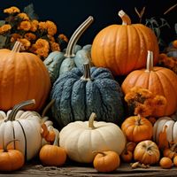 Plakat 80x80cm Jesienne Urodzaje