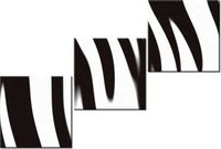 60 90CM OBRAZ 3 ELEM POPASKOWANE ŚCIENNY DRUK PŁÓTNO