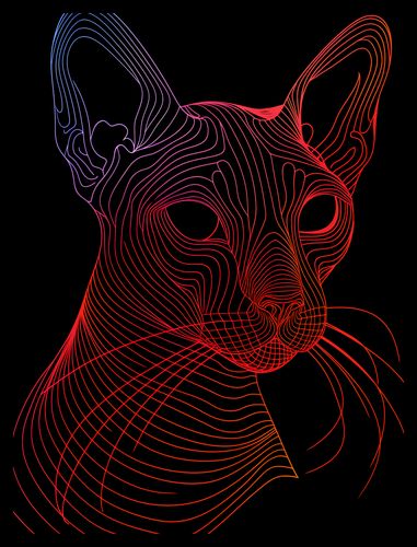 Plakat 30x40cm Cyfrowa Kocica na Arena.pl