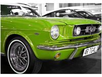 100 70CM OBRAZ PŁÓTNO LIMONKOWY MUSTANG PŁÓTNO RAMA