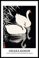 Plakat 40x60cm Design Geese, Koson Vintage do Salonu