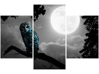 product-compare-58646404