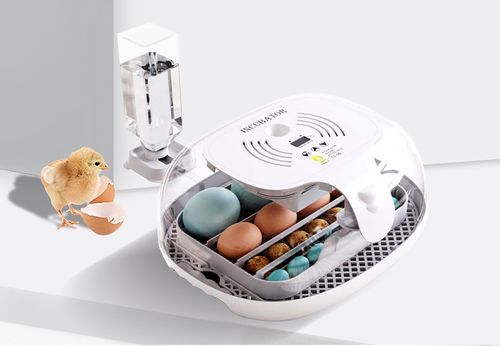 INKUBATOR DO JAJEK AUTOMATYCZNY KLUJNIK WYLĘGARKA WYLĘGARNIA DO 16 JAJ na Arena.pl
