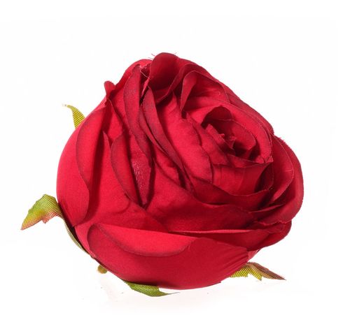 Róża główka czerwona na Arena.pl