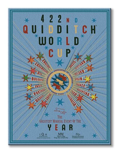 Harry Potter (Quidditch World Cup) - Obraz na płótnie 60x80 cm na Arena.pl