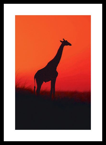 Plakat 20x30cm Żyrafa w Czerni zdjęcie 3