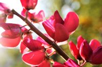 product-compare-50199906