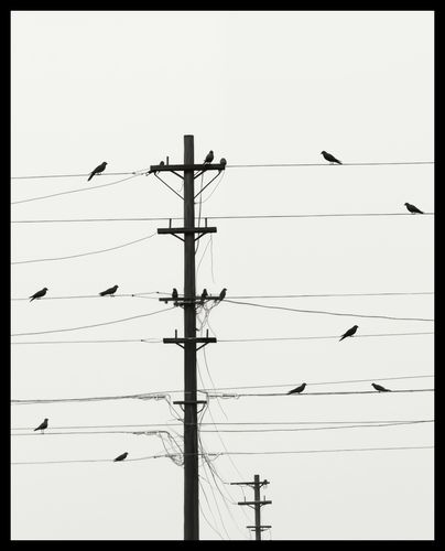 Plakat 40x50cm Symfonia na Drutach na Arena.pl