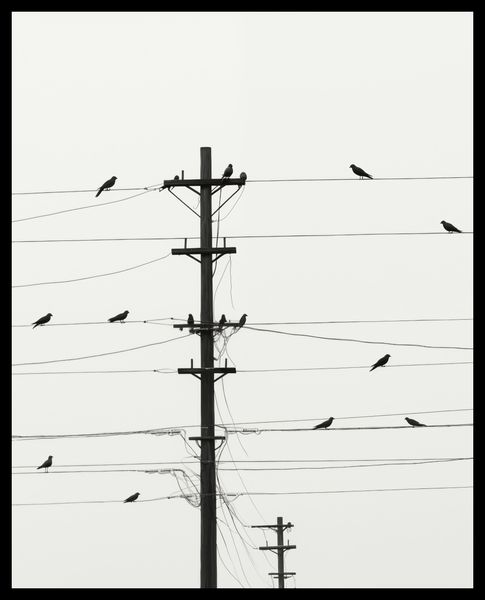 Plakat 40x50cm Symfonia na Drutach zdjęcie 2