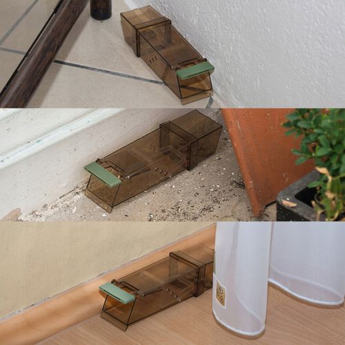 Pułapka na myszy ŻYWOŁAPKA MYSZOŁAPKA HUMANITARNY CHWYTACZ DO ZWALCZANIA na Arena.pl