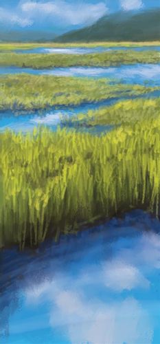 Gra Kaskadia Pomniki przyrody na Arena.pl