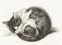 product-compare-59640972