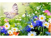 product-compare-58646426