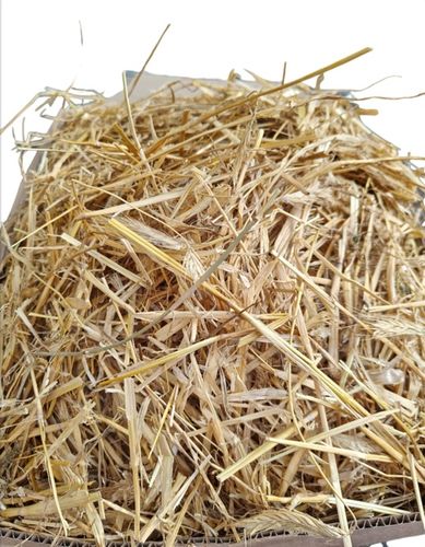 Słoma na kompost, do budy, Legowisko dla psa, Ściółka Dla Gryzoni, 80L na Arena.pl