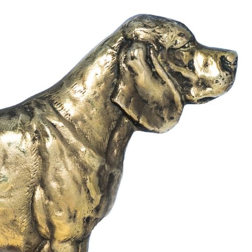 Beagle - tabliczka - 1702 na Arena.pl