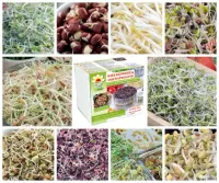 KIEŁKOWNICA + ZESTAW x10 NASIONA NA KIEŁKI 290g