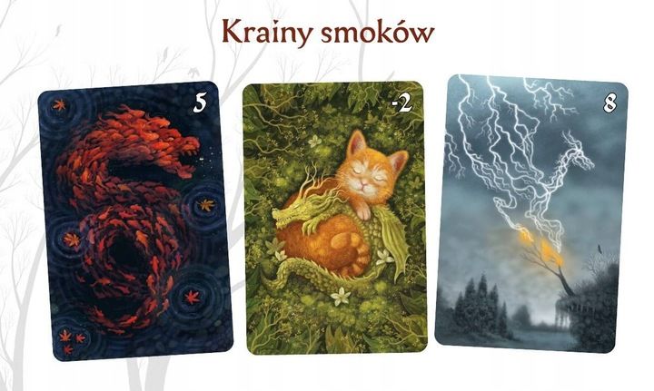 Gra karciana NASZA KSIĘGARNIA Smoki zdjęcie 7