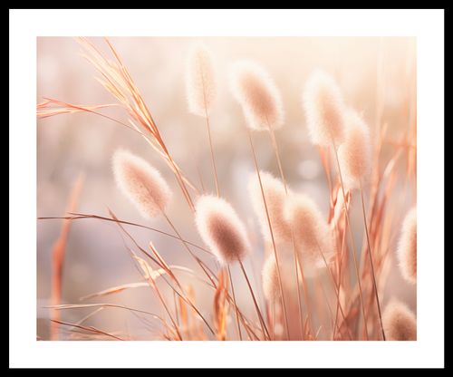 Plakat 50x40cm Kwiaty Słońca na Arena.pl