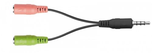 Mikrofon Primo na Arena.pl