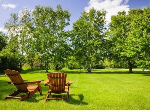 Trawa Mieszanka Traw SŁONECZNY OGRÓD tereny suche słoneczne 10KG Nasiona na Arena.pl