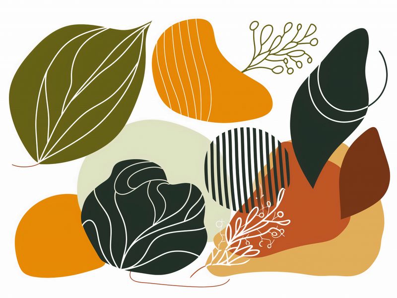 Plakat 40x30cm Natura Gwizda zdjęcie 1