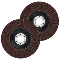 tarcze lamelowe do szlifowania 125 mm 2 sztuki mix gradacji