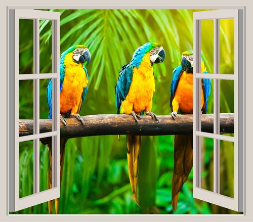 FOTOTAPETA 3D OKNO widok most kładka las drzewa na Arena.pl