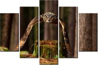 product-compare-58696705