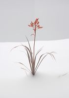 product-compare-59356730