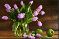 product-compare-58694625