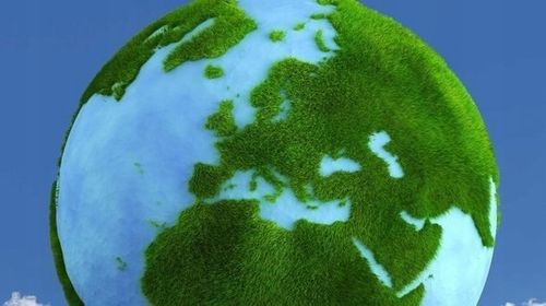 Trawa SOS QUICK REPAIR 1KG na Arena.pl