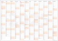 Planer na rok 2025 kalendarz B0 138x97,5cm suchościeralny z mocowaniem