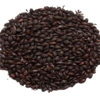 Słód Carafa (R) Special typ II 1100-1200 EBC Weyermann (R) - 1 kg