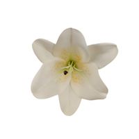 Lilia wyrobowa gumowana '1 12 szt