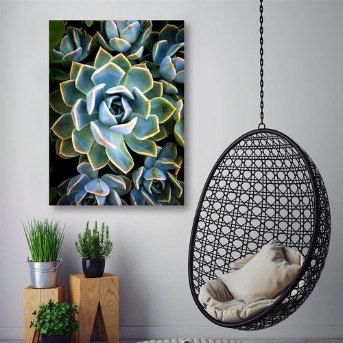 Plakat, Modne kaktusy succulent 60x80 na Arena.pl