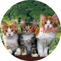 Opłatek na tort KOT Kotek Kotki Kiciuś Kocur Miluśiński Tekst Gratis