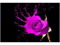 120CM 80CM OBRAZ ŚCIENNY PLUSK