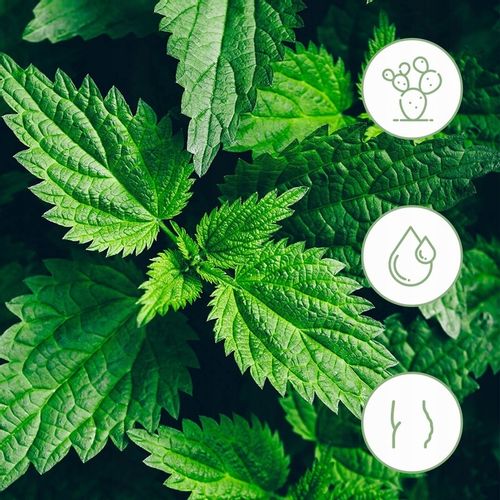 Hydrolight Suplement Redukcja Wody Cellulitu Detox na Arena.pl